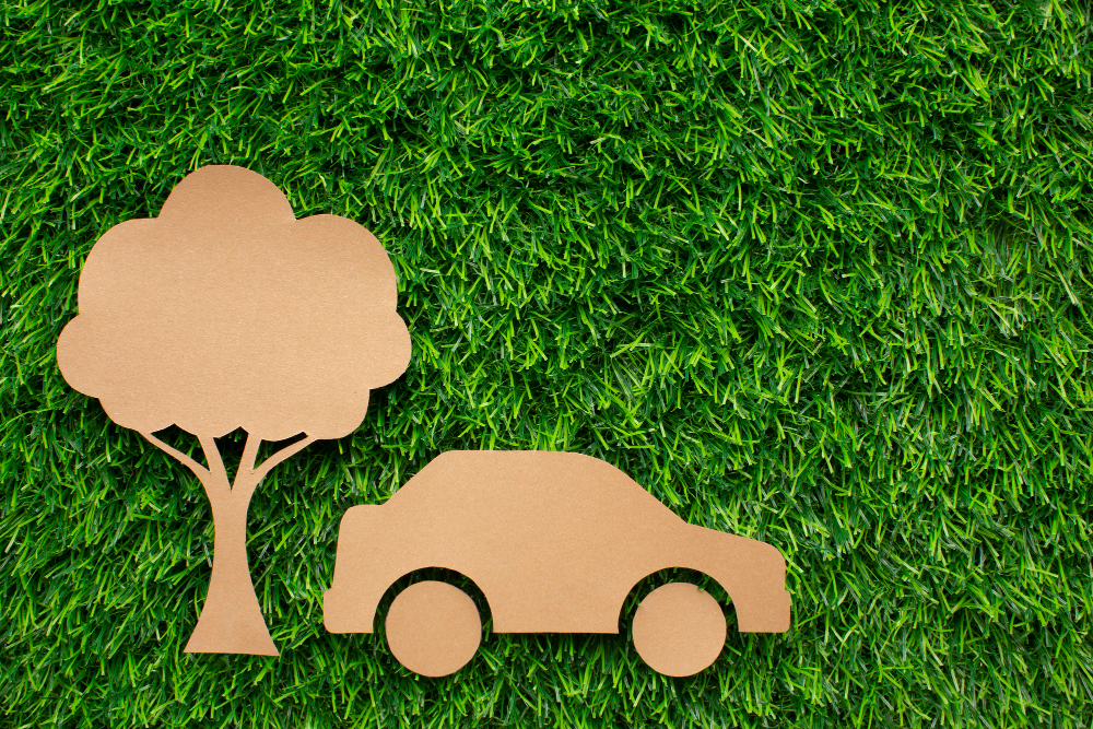 Environmental Impact of Your Vehicle