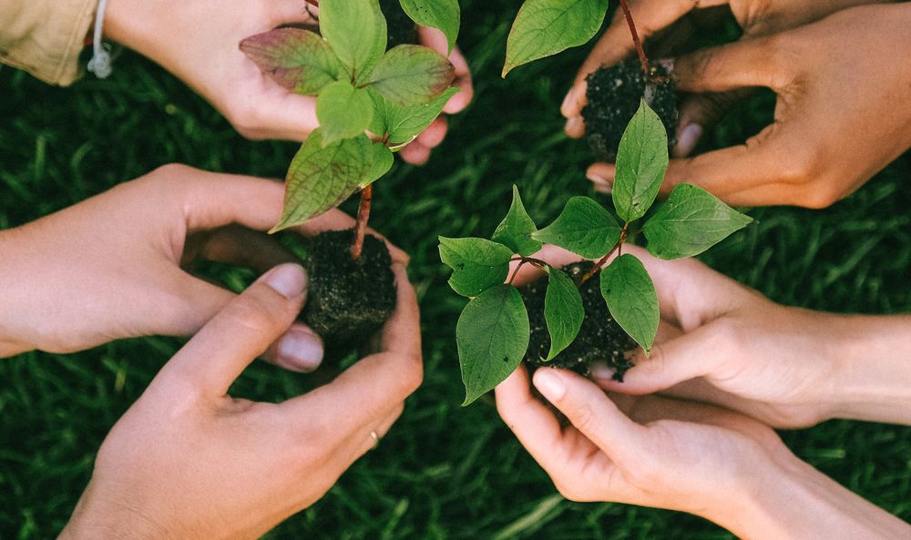 Carbon-Conscious CTP Green Slip in NSW